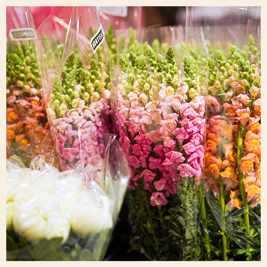 composition florale fleurs fraiches rungis